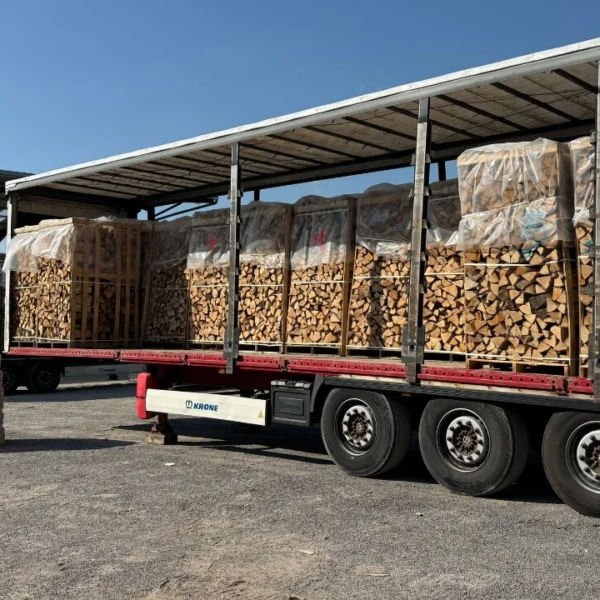 LKW-Ladung Hainbuche (48 RM) – 50-cm-Scheite – Premium H1 G1